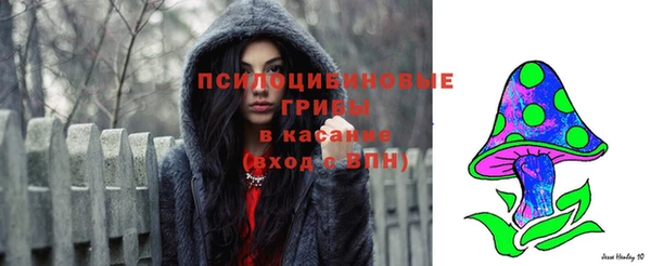 сатива Алзамай