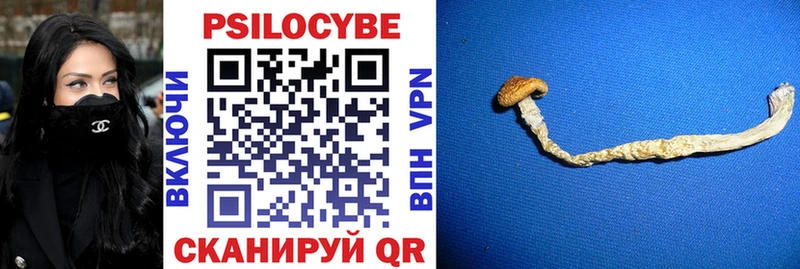 Галлюциногенные грибы Magic Shrooms Котельники