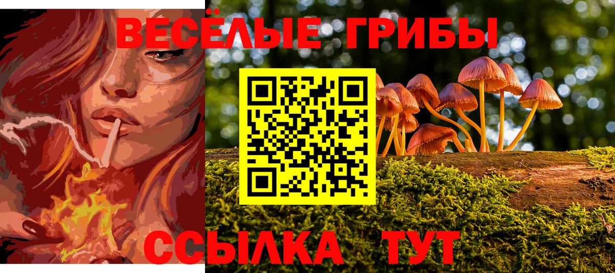 Псилоцибиновые грибы Cubensis  Вход с VPN  Псилоцибиновые грибы мухоморы  Котельники 