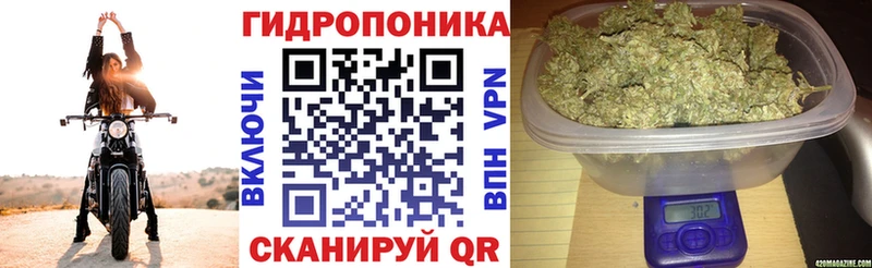 Марихуана White Widow Котельники
